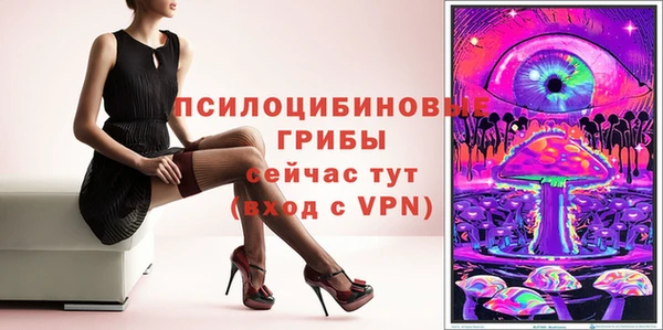 стафф Богородицк