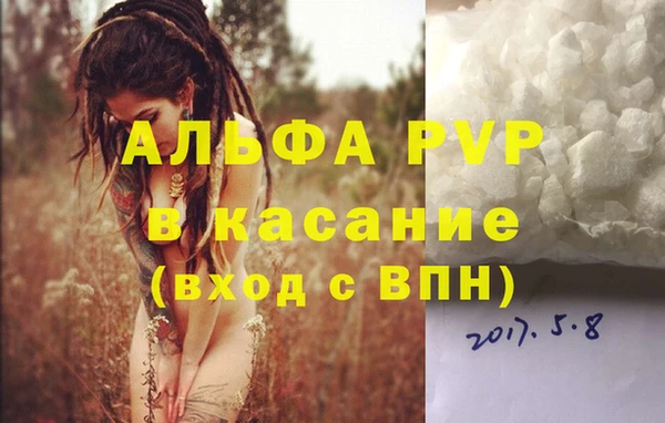 стафф Богородицк