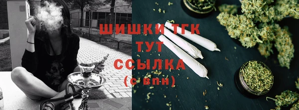 стафф Богородицк