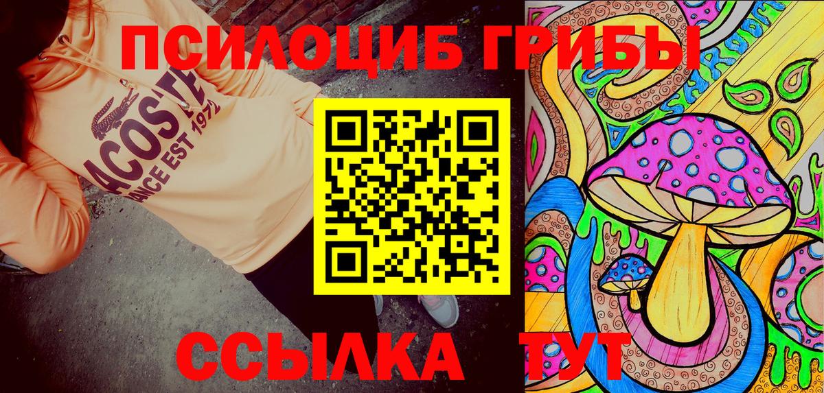 Галлюциногенные грибы Psilocybine cubensis Куйбышев