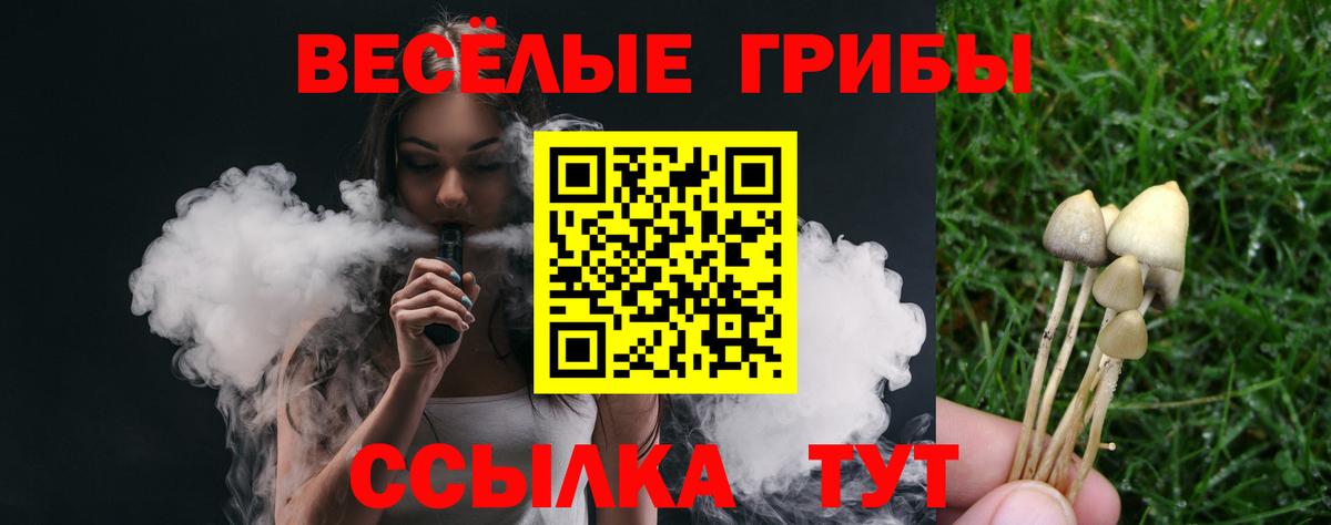 Псилоцибиновые грибы прущие грибы  Куйбышев 